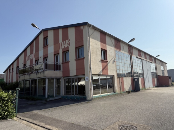 A VENDRE - CHATENOY LE ROYAL - TÈNEMÙENT INDUSTRIEL