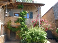 Tim Habitat